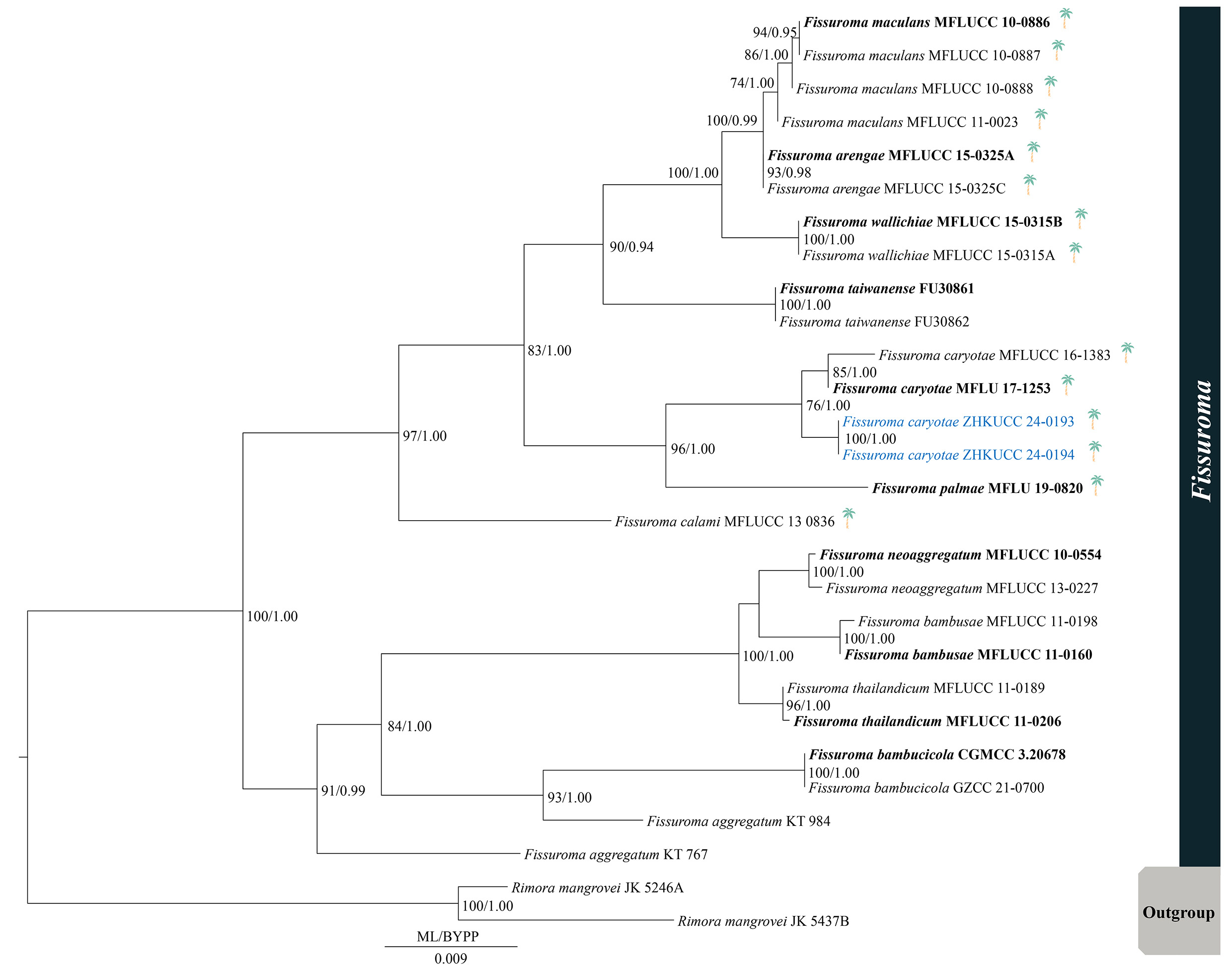 Figure 18